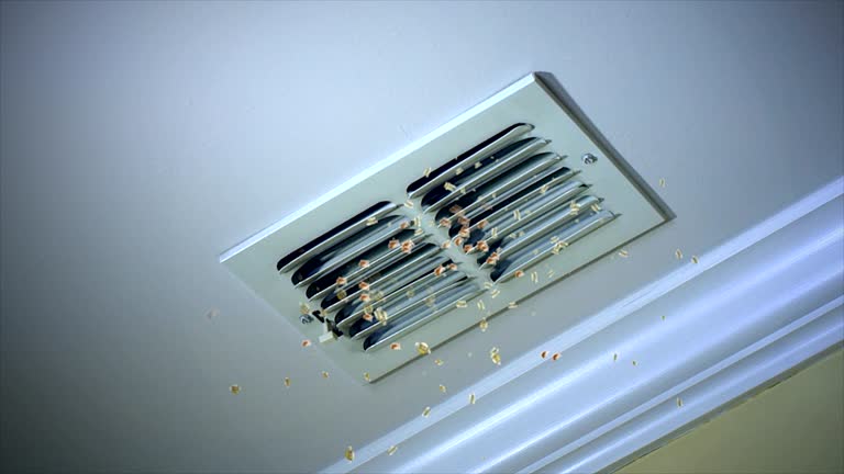 Best Affordable Air Duct Cleaning  in Cedar Hill, TX